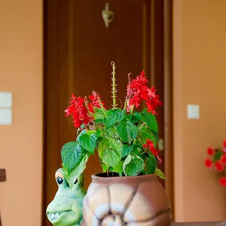 Appartement Nefeli