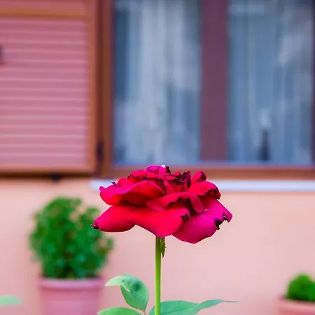 Apartmán Nefeli *