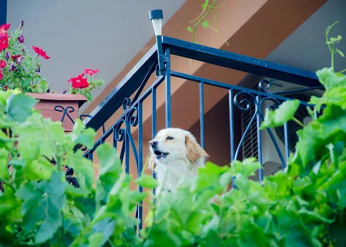 Διαμέρισμα νεφέλη