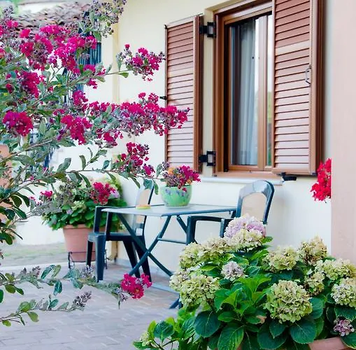 Διαμέρισμα νεφέλη Λεβίδι