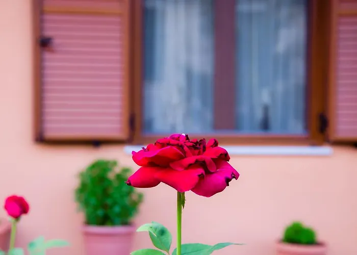 Διαμέρισμα νεφέλη *